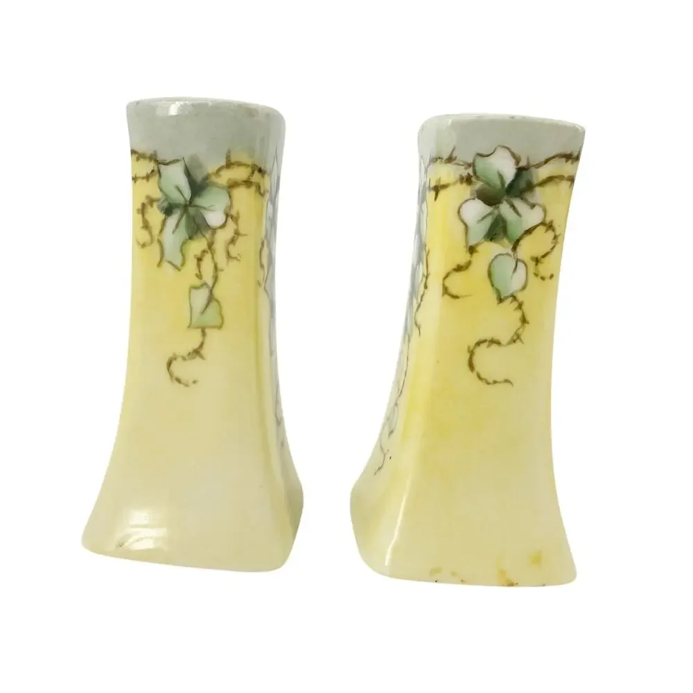 vintage yellow & pale blue green ivy Salt & Pepper Shakers Bavaria kitchenware